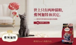 弗列加特最新爆料,尖端科技引领未来军事变革