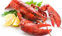 龙虾最新爆料新闻,揭秘幕后真相，行业乱象再引关注