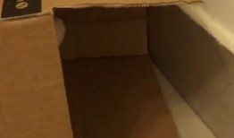 泡沫箱子爆料视频教程,轻松制作实用收纳神器